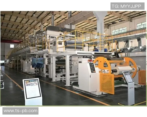 印刷包装行业发展趋势与创新技术应用的未来展望与挑战