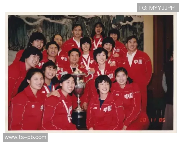 南京排球队个人能力排行榜分析他们为何位列第八名的原因探讨