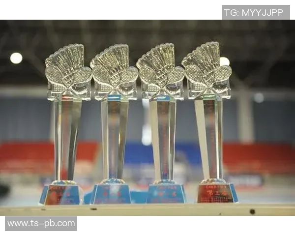 成都羽毛球队总决赛精彩表现分析与状态评估