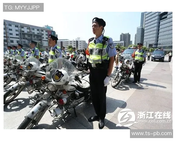 杭州飞盘队的转型之路与未来发展展望探讨