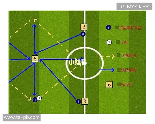武汉飞盘队的阵地战体系与飞盘战术的深度解析与应用探讨 武汉飞盘队的阵地战体系与飞盘战术的深度解析与应用探讨