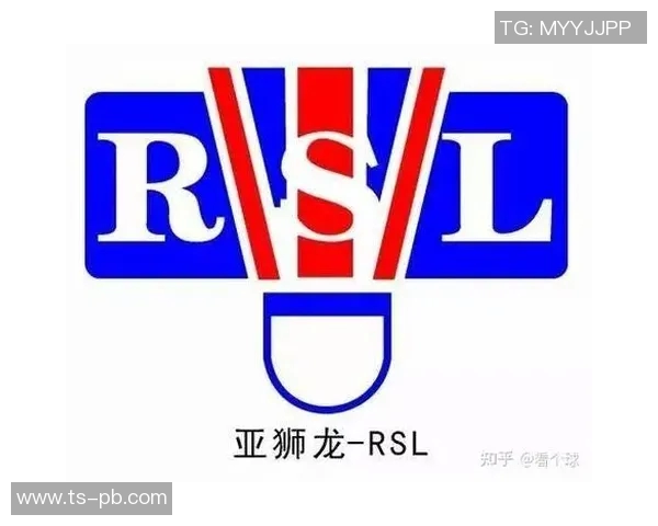 上海羽毛球队球员个人能力深度对比与分析探讨