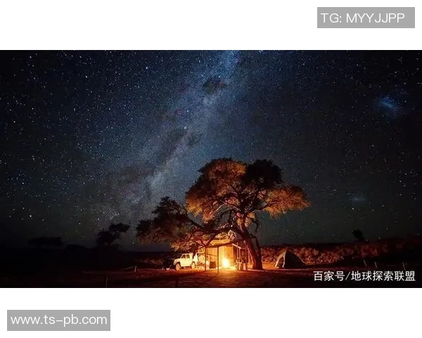 印度裔足球明星的璀璨星空盘点与成就分享
